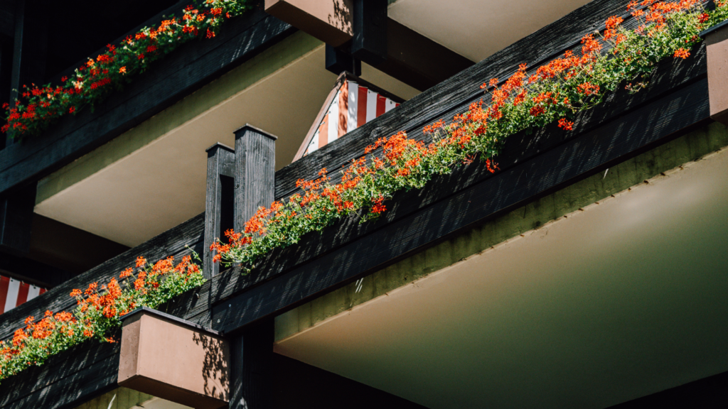 hotel montjola nova balkon sommerlich