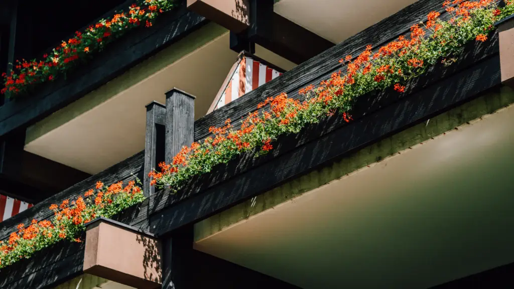 hotel montjola nova balkon sommerlich